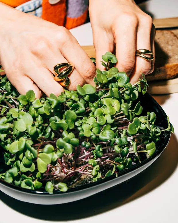 Fitgreenmind — Salat